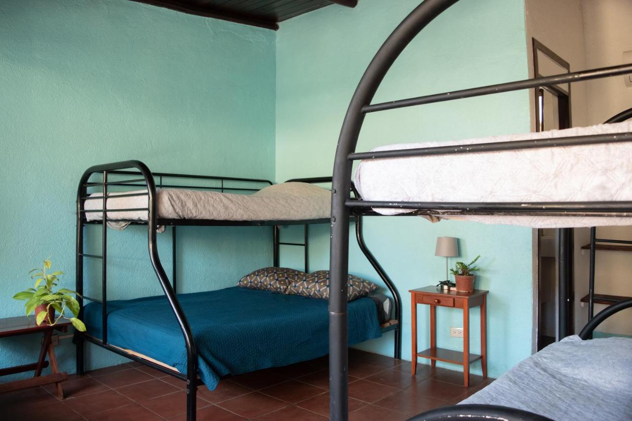 Four bunk beds in La Botella De Leche hostel in Tamarindo.