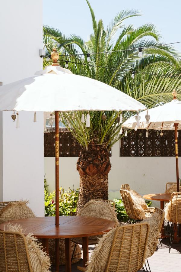 JAN 14-21 | Fuerteventura: the magical island 🏄🌋