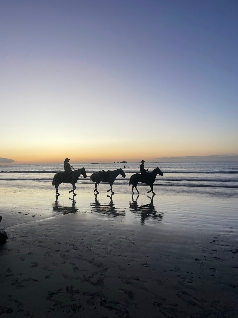 MARCH 2-9 | Tamarindo: Costa Rican surfing adventure 🏄