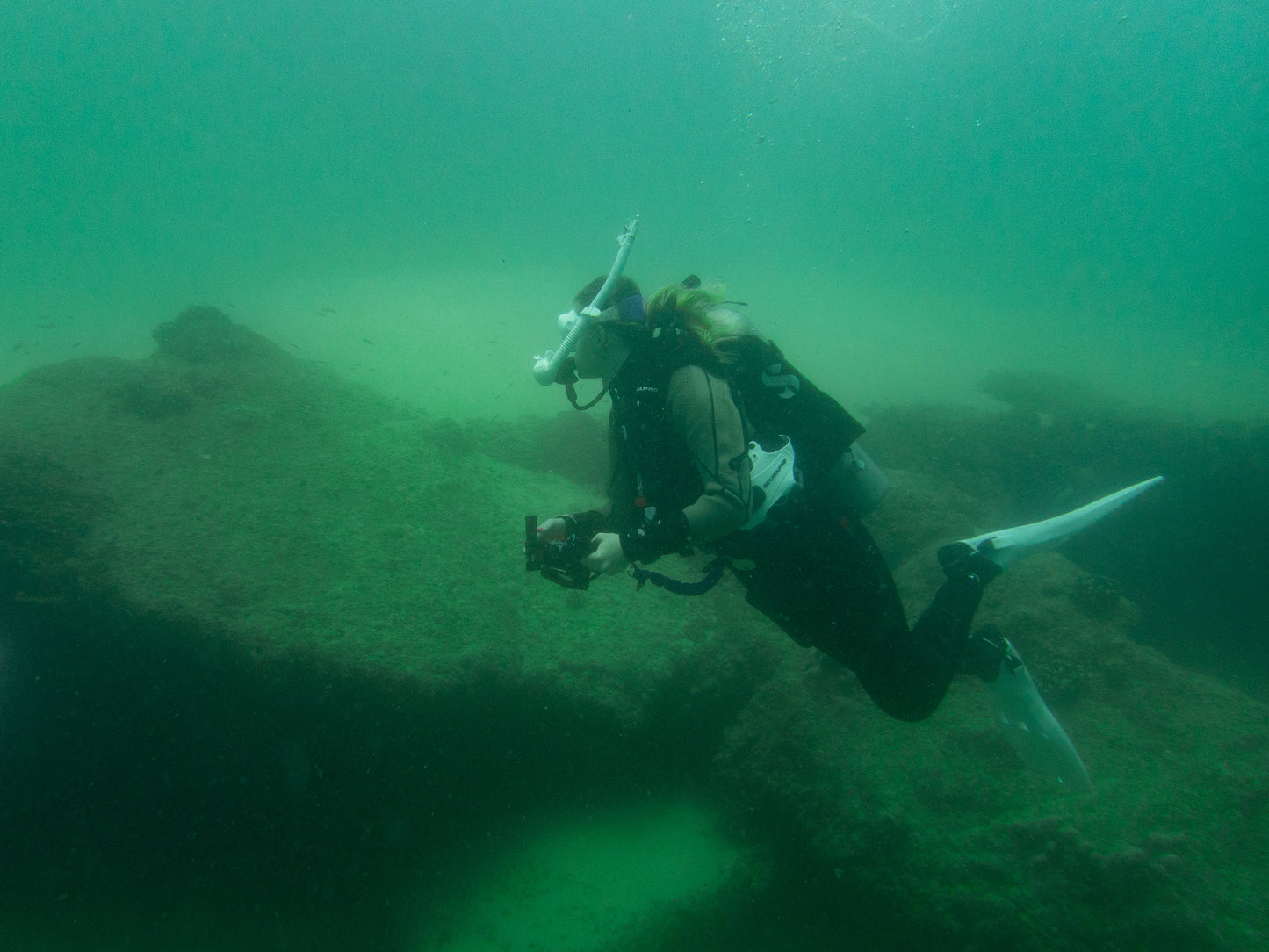 FEB 18-25 | Los Cabos: scuba diving in Baja California 🤿