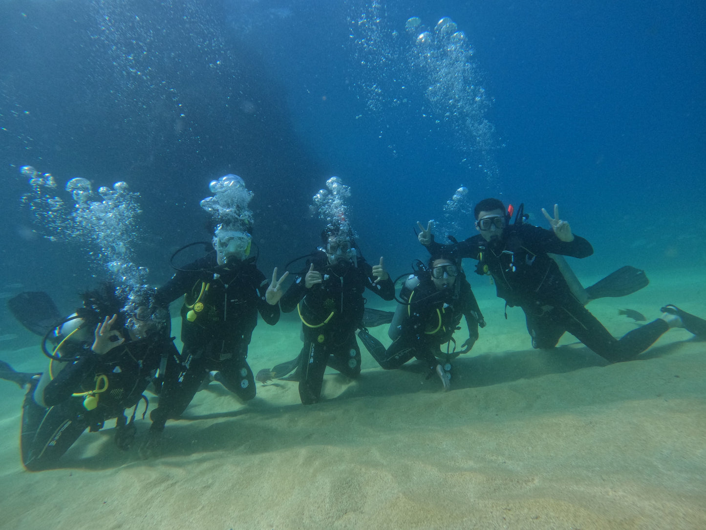 FEB 18-25 | Los Cabos: scuba diving in Baja California 🤿