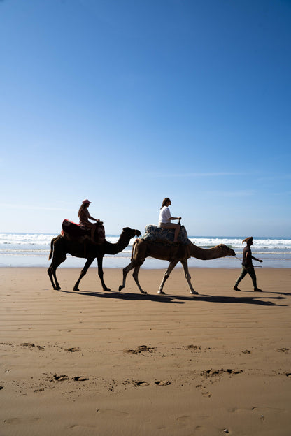Two small group trip participants riding camels on the beach of Taghazout led by a leader.