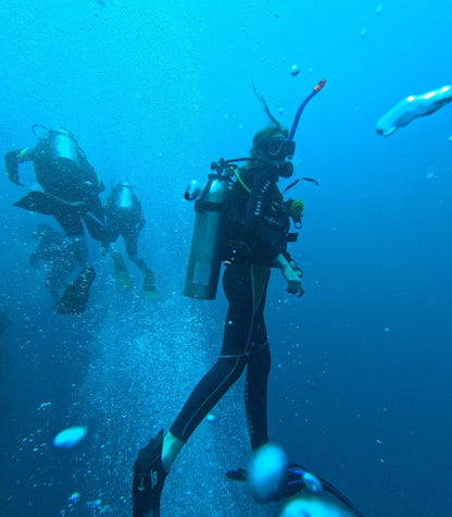 Moalboal: scuba diving in the Philippines 🤿