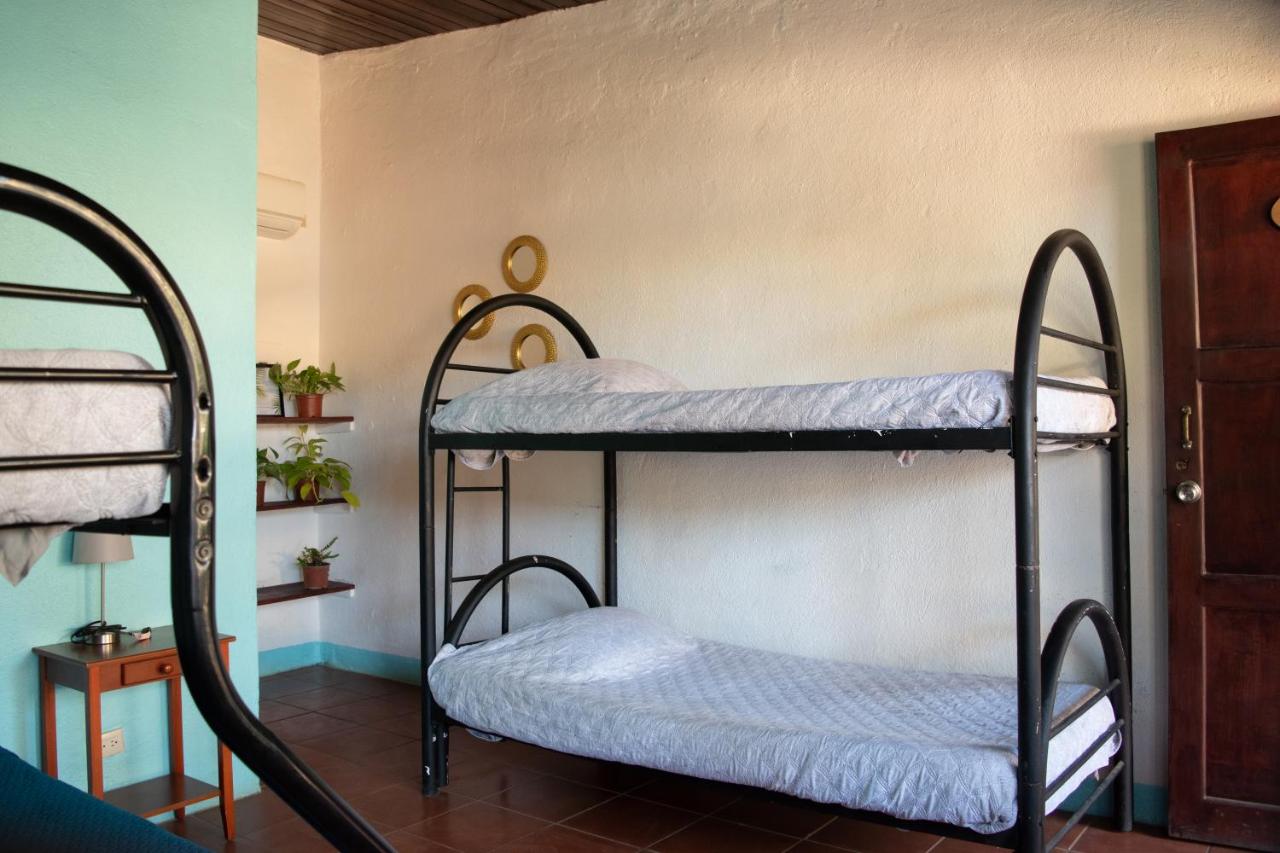 Bunk beds and plants in La Botella De Leche hostel for small group travel in Tamarindo.
