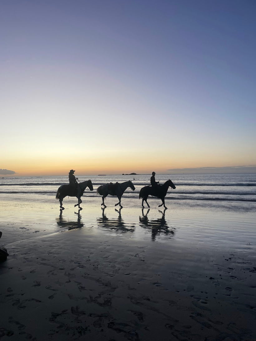 Horseback riding along the Tamarindo beach during sunset.