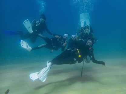 Five scuba divers posing for the camera underwater during a small group travel diving lesson in Los Cabos.