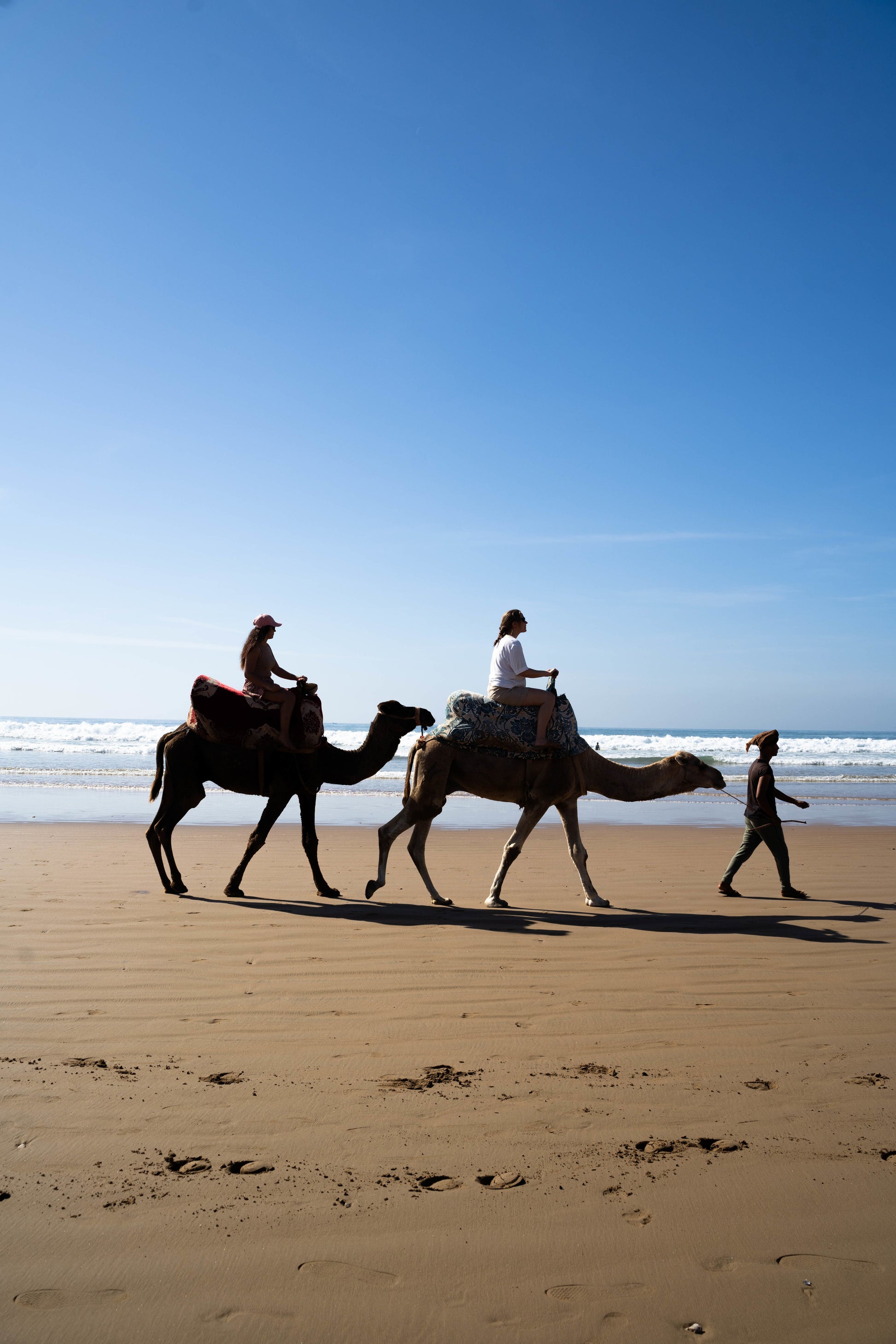 Two small group trip participants riding camels on the beach of Taghazout led by a leader.