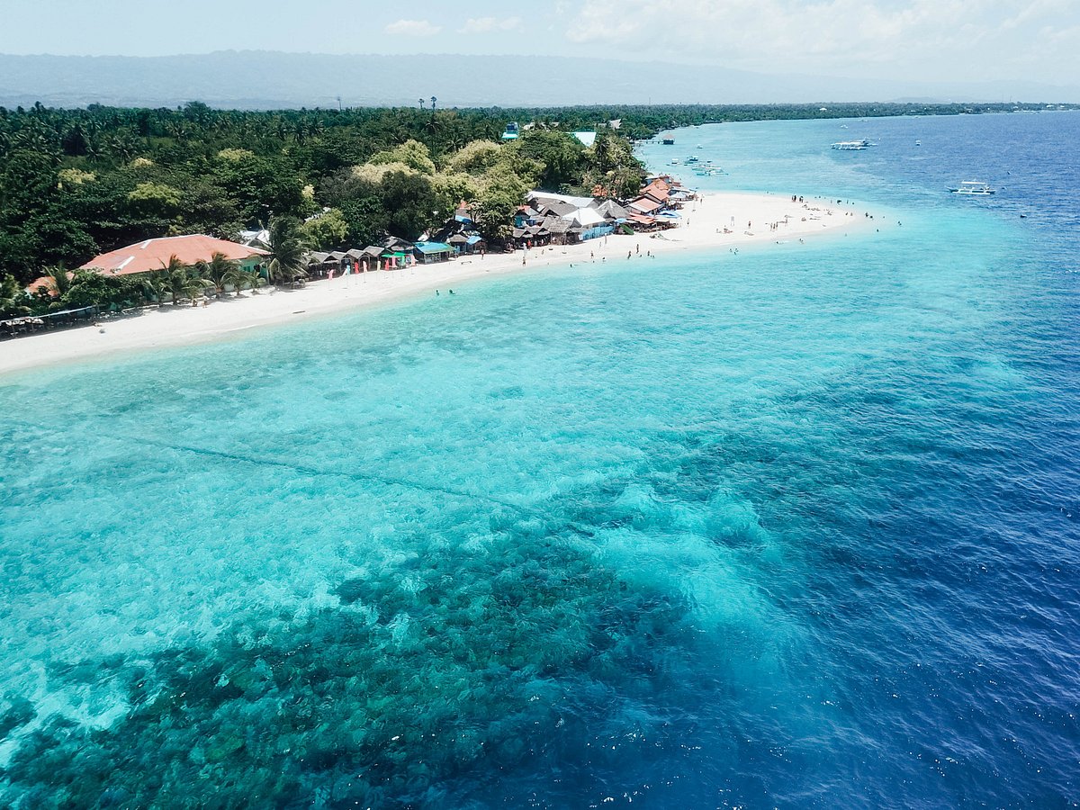 Moalboal: scuba diving in the Philippines 🤿