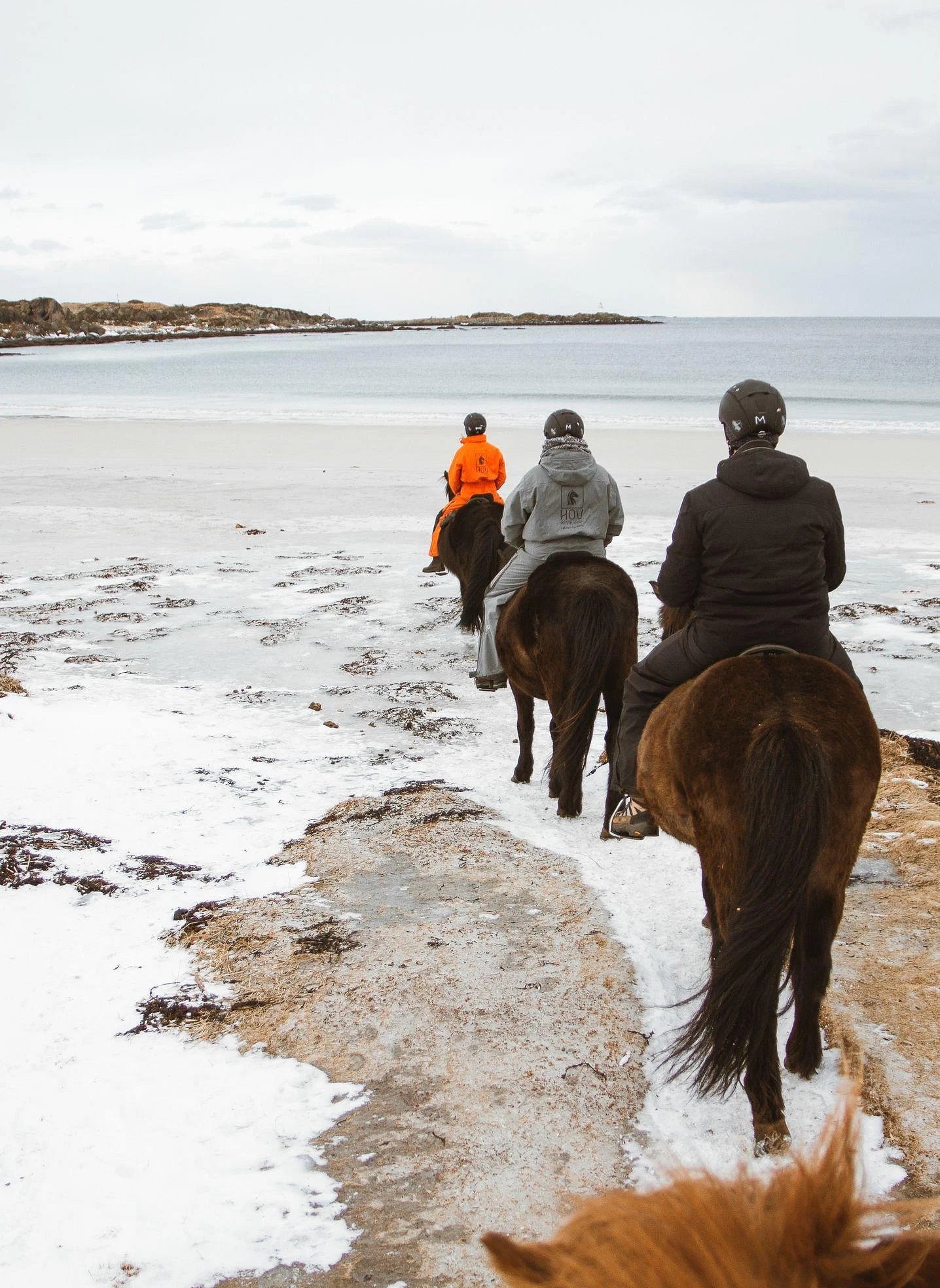Three small group trip participants riding horses along the snowy beach in Lofoten Norway. 