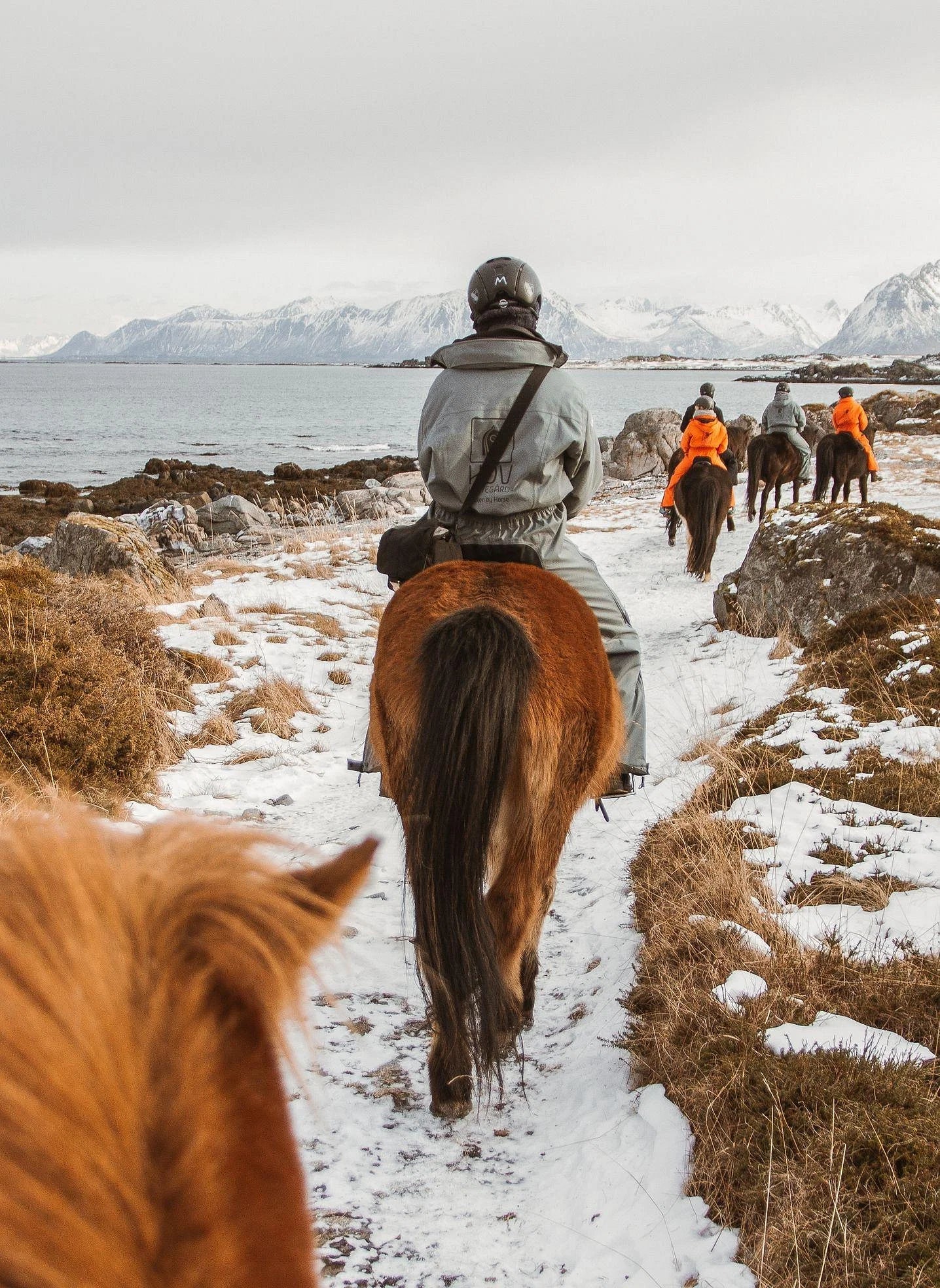 Five small group trip participants horseback riding along the coast in Lofoten Norway.