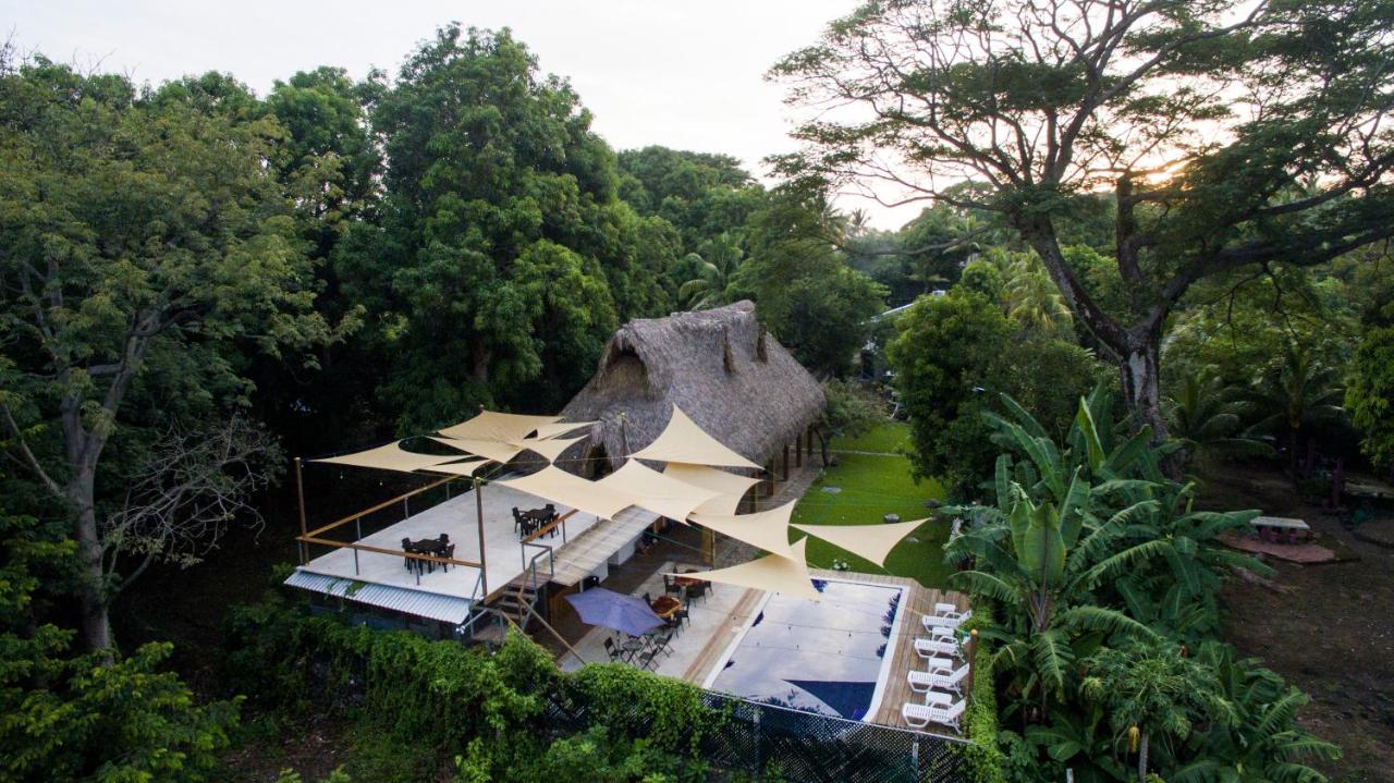 Aerial view of the Michanti hotel pool and outdoor seating area.