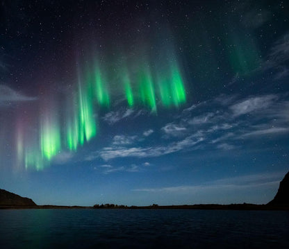 Northern lights above the water in Lofoten Norway during small group travel.