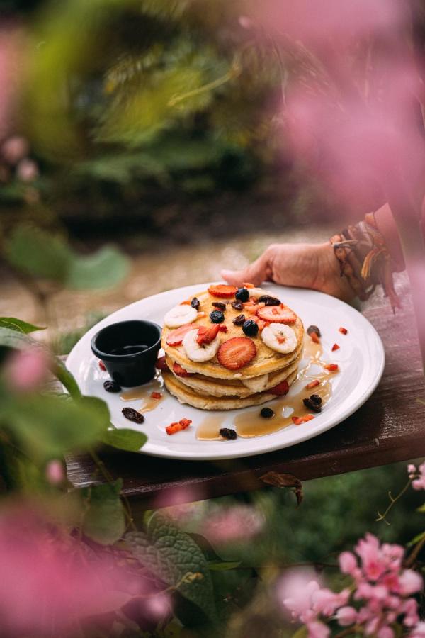 Stack of pancakes with syrup for breakfast near pink flowers during a small group trip in El Salvador