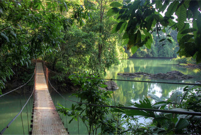A hanging bridge over the Rio Celeste during a small group travel excursion.