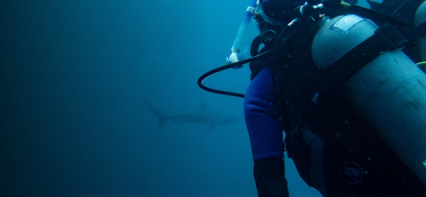 Scuba Diving trips